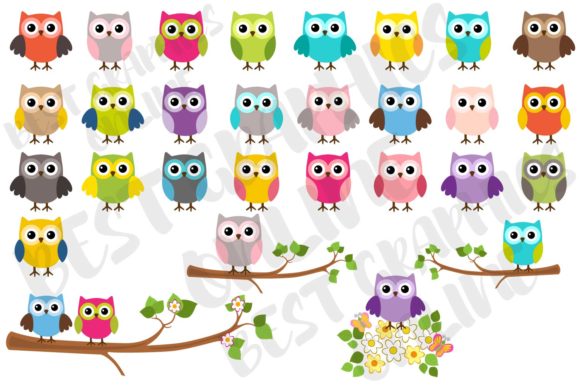 Download Owl Clipart, Owl Cute Owls Graphics Set - Set Collection