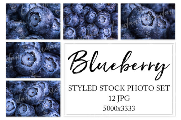 Download Blueberry. Styled Stock Photo Set - Set Collection