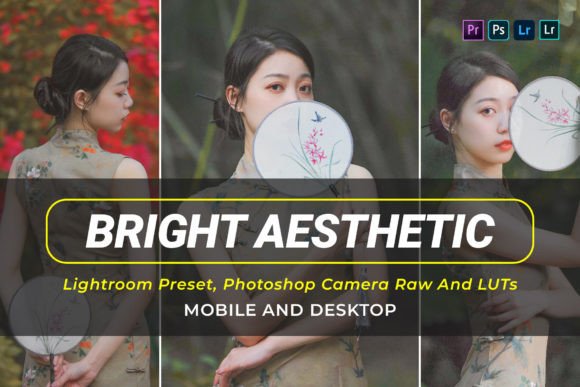 Download 10 Bright Aesthetic V2 Presets and Luts - Set Collection